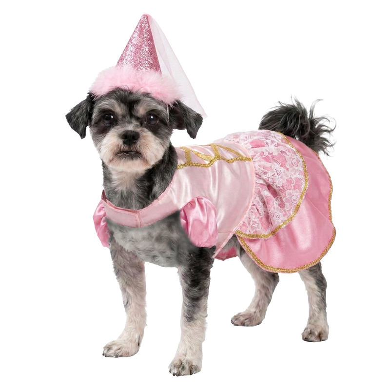 PRINCESS COSTUME