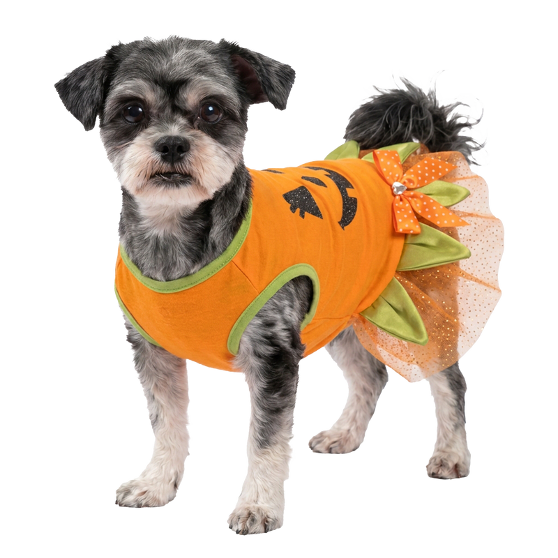 JACK O LANTERN DRESS