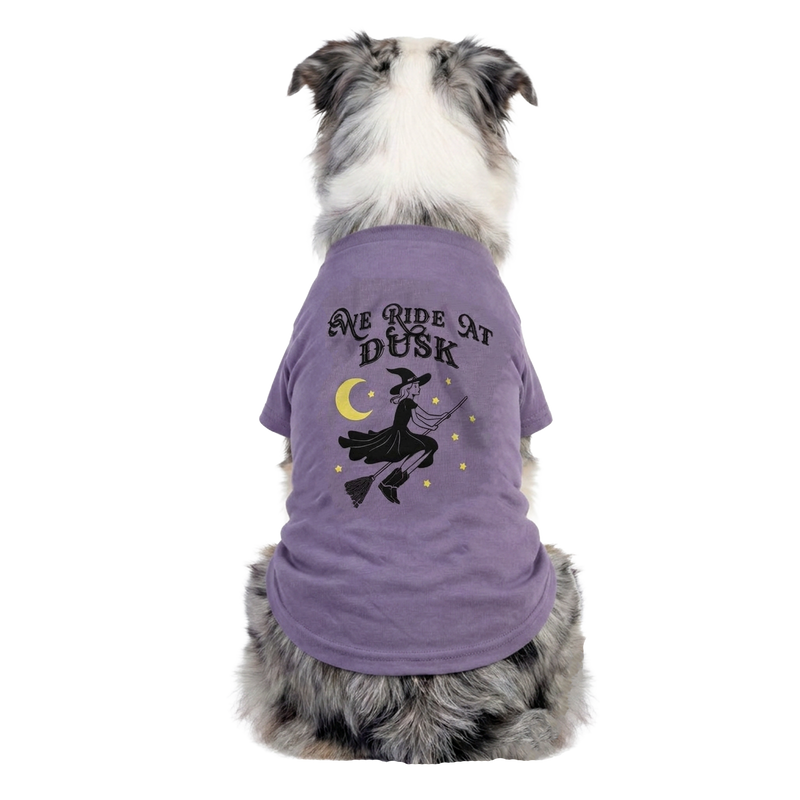 RIDE AT DUSK TEE