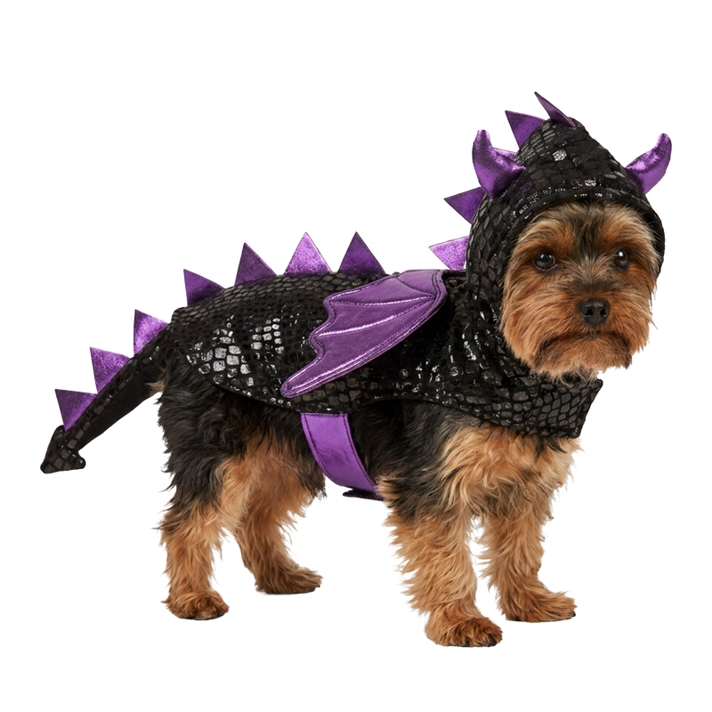DRAGON COSTUME