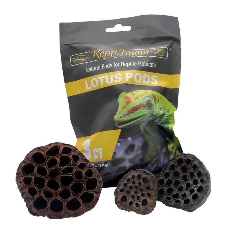 Reptifauna Aquatic Plant Lotus Pods, 3 Count