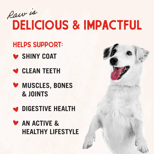Stella & Chewy's Baked Kibble for Dogs - Raw Blend Wholesome Grains Red Meat Recipe - 22 lb.