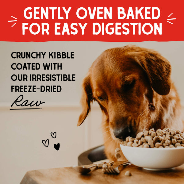 Stella & Chewy's Baked Kibble for Dogs - Raw Blend Wholesome Grains Red Meat Recipe - 22 lb.