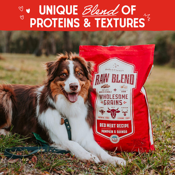 Stella & Chewy's Baked Kibble for Dogs - Raw Blend Wholesome Grains Red Meat Recipe - 3.5 lb.
