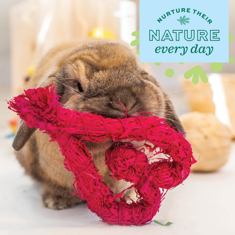 Oxbow Enriched Life - Celebration Heart for Rabbits, Guinea Pigs, Chinchillas, and other Small Herbivores.