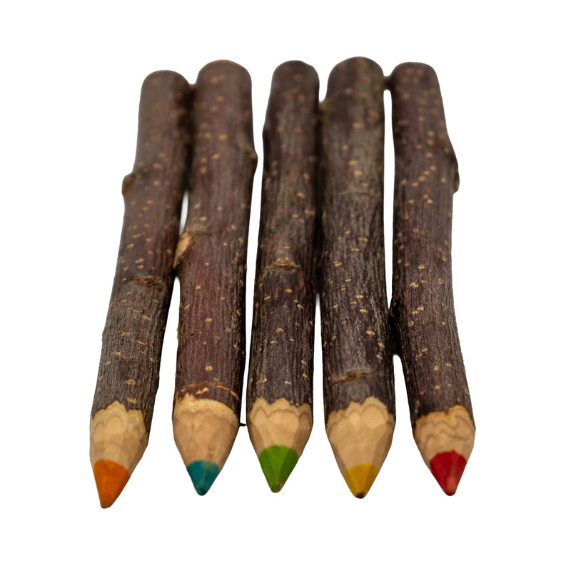 A&E Hue Chews Wooden Chew Sticks 5-Pack for Small Animals
