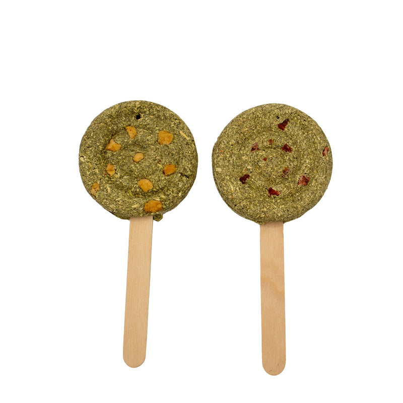 A&E Harvest Swirl Hay Pops 2-Pack for Small Animals