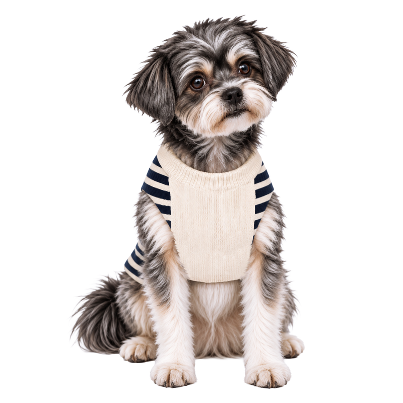 STRIPED CARDIGAN SWEATER