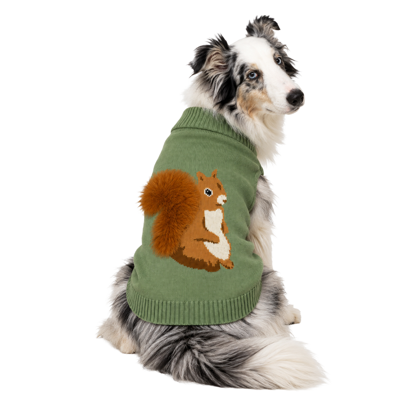 SQUIRREL SWEATER