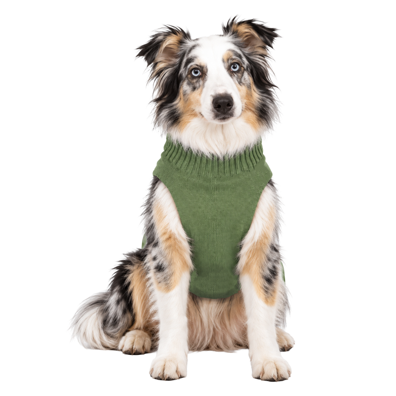 SQUIRREL SWEATER