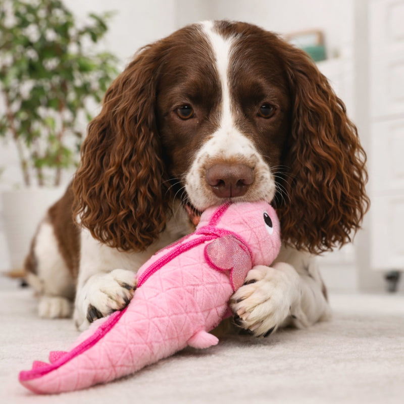 Outward Hound Dog Toy Xtreme Seamz Axolotl Pnk MD