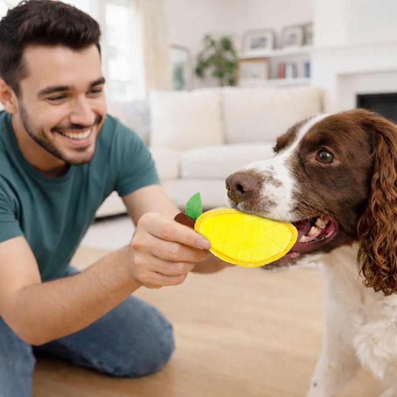 Outward Hound Dog Toy Xtreme Smz Lemon HC Ylw SM