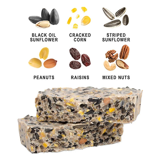 Royal Wing High-Energy Woodpecker Suet Cake