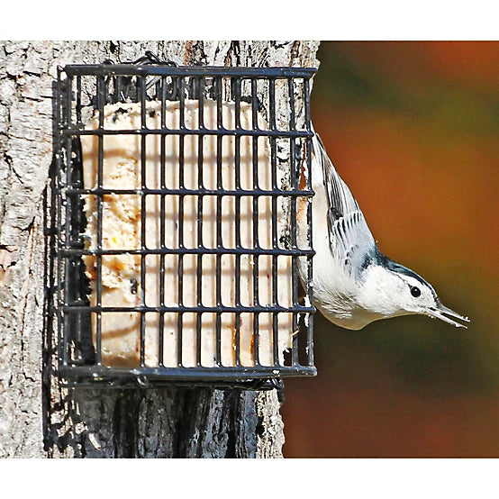 Royal Wing 1 Cake Capacity Deluxe Suet Bird Feeder