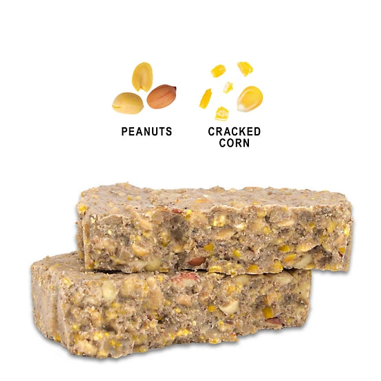 Royal Wing Peanut Suet Cakes
