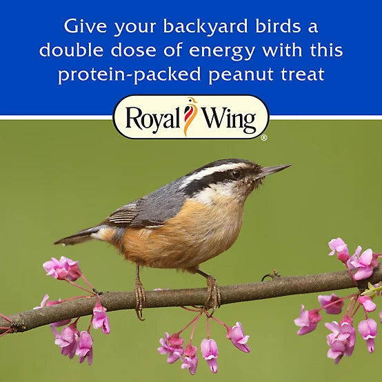 Royal Wing Peanut Suet Cakes