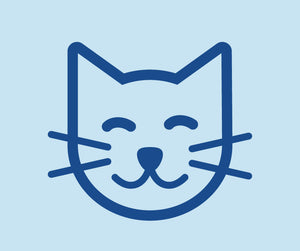 Cat Adoption Checklist Icon