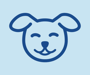 Dog Adoption Checklist Icon