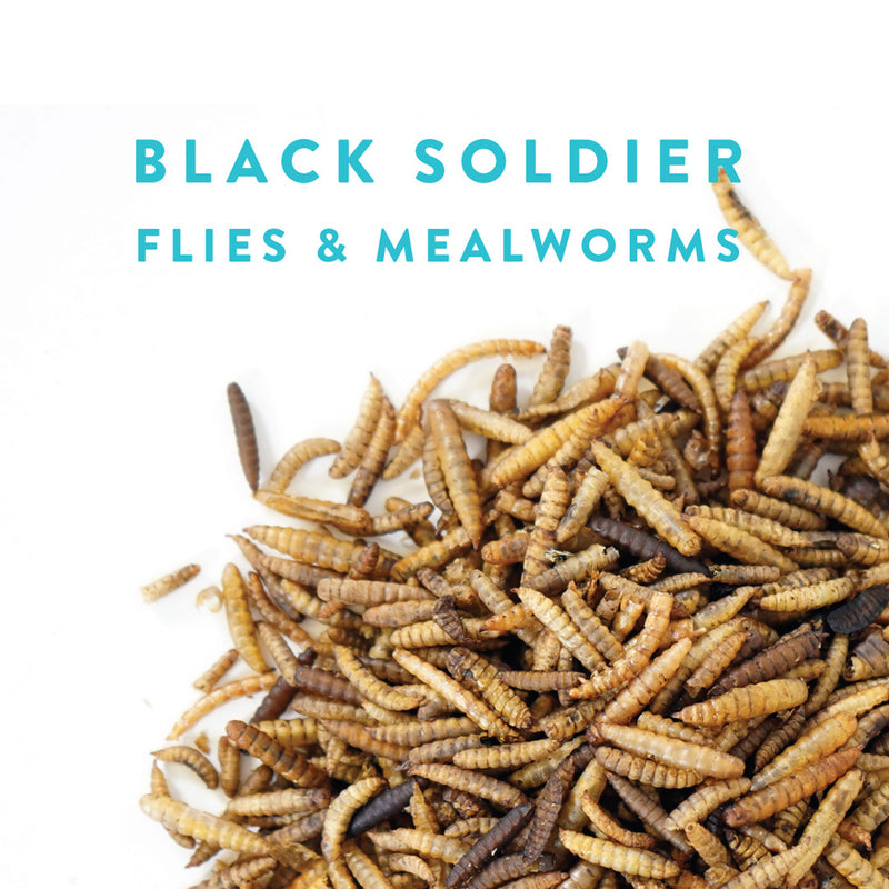 Manna Pro Bug Buffet 30oz