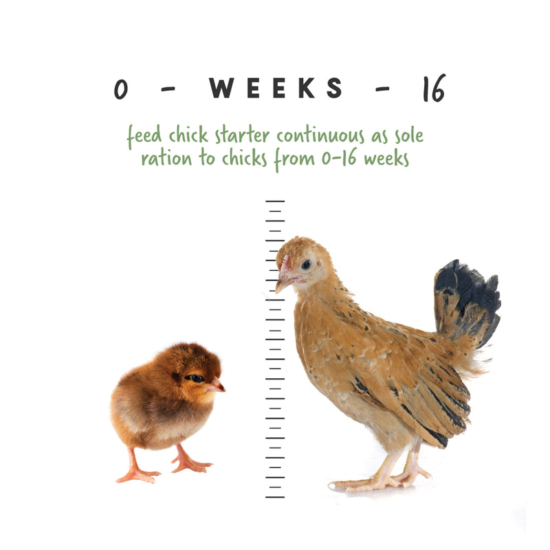 Manna Pro Medicated Chick Starter 5lb