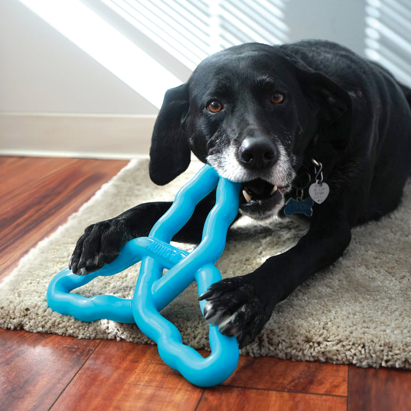 KONG Dog Flyangle Assorted Lg