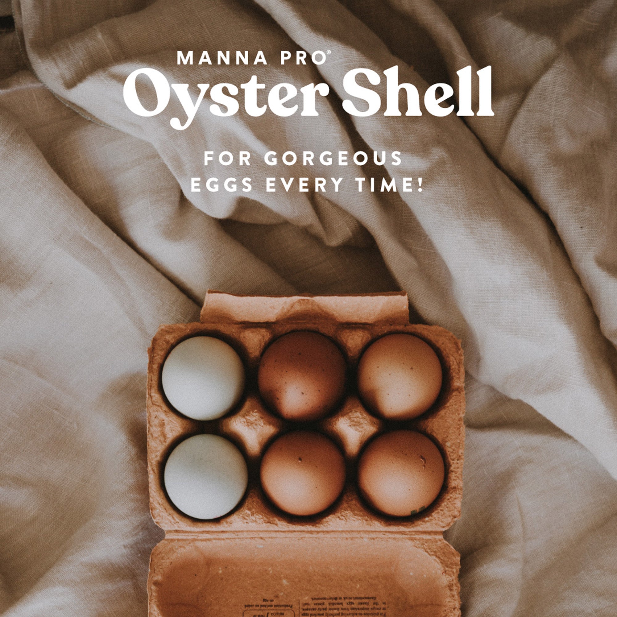 MannaPro Crushed Oyster Shell For Chickens – Pellet Size, 5 LB – Calcium Supplement For Egg Laying