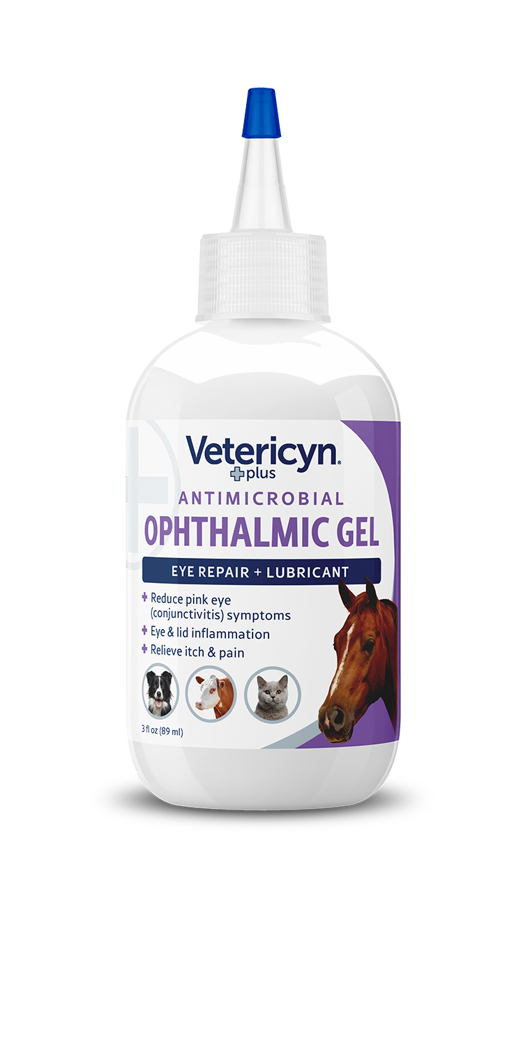 Antimicrobial ophthalmic gel for dogs Clearance