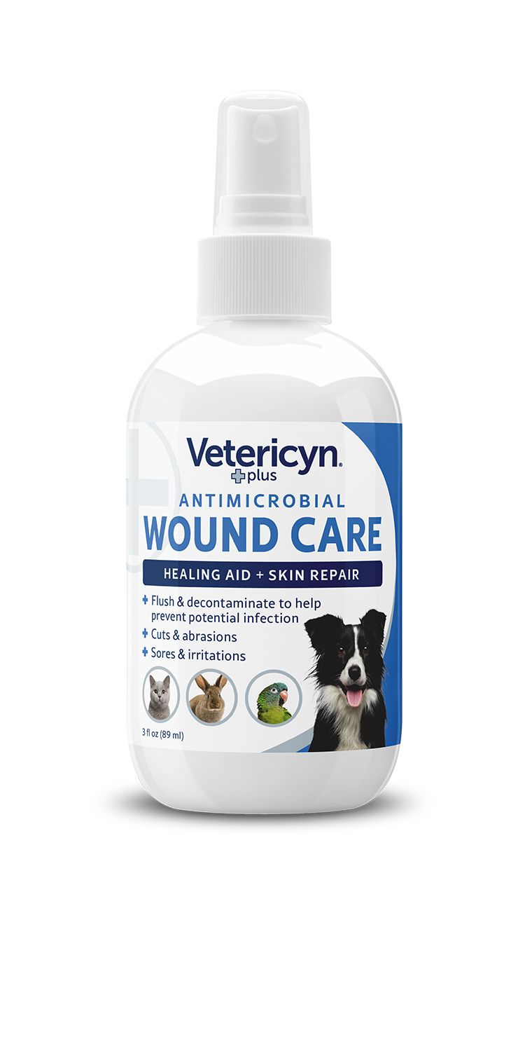 Vetericyn for dogs best sale