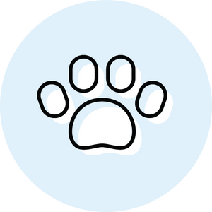 Loyalty Rewards Icon