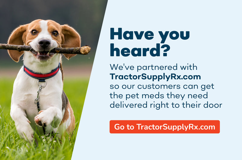 Prescription Petsense
