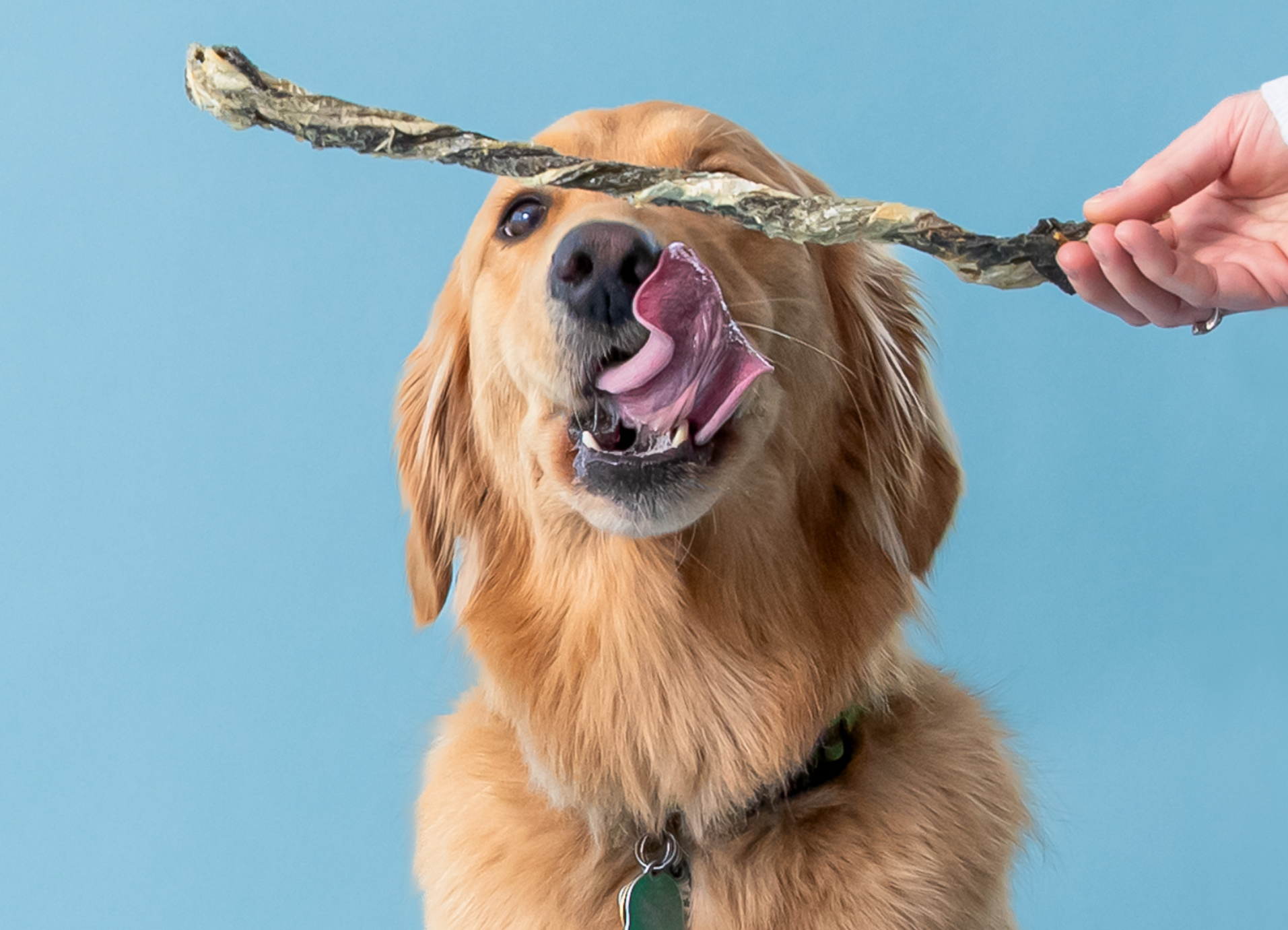 Polkadog fish treats