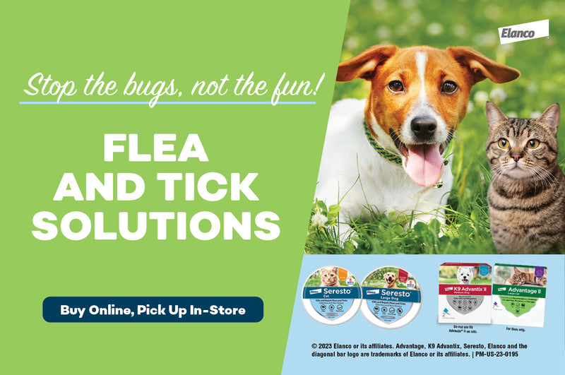 Can I Use Dog Advantage 2 On Cats