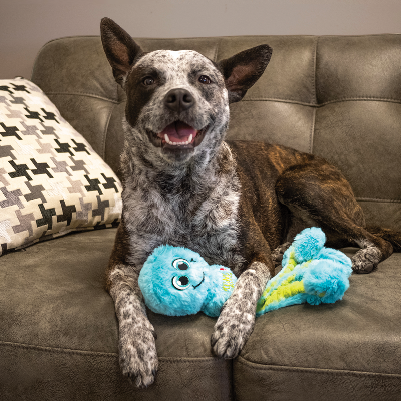 KONG Dog Wubba Octopus Assorted Sm
