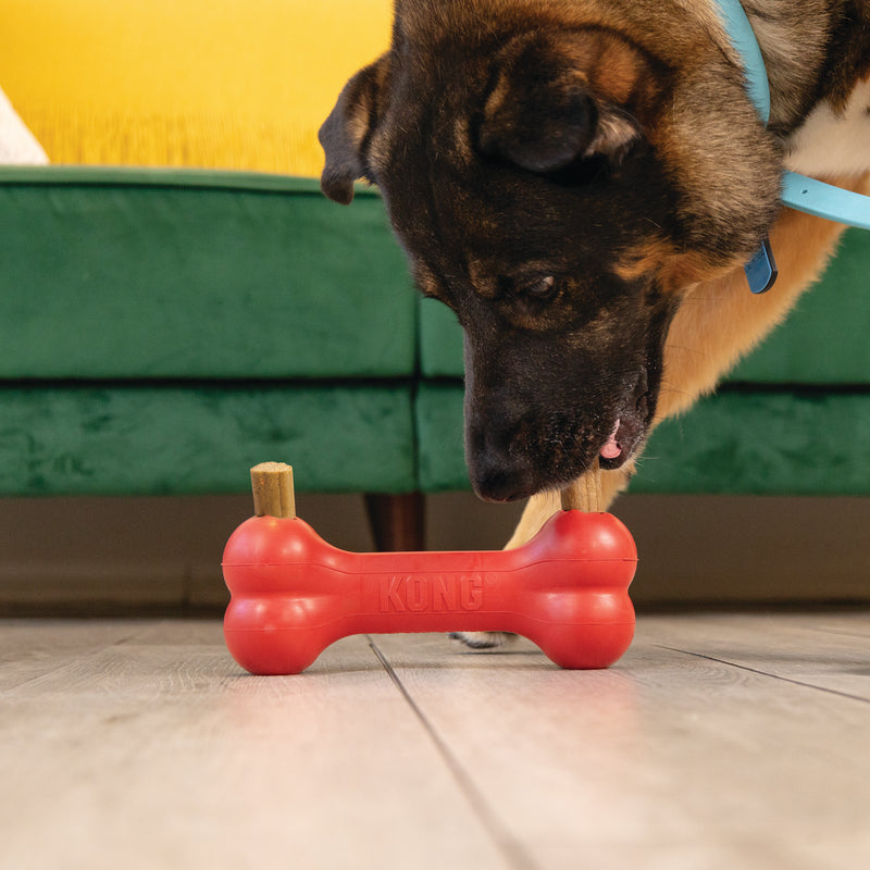 KONG Dog Ziggies Enhanced Md/Lg 8 oz
