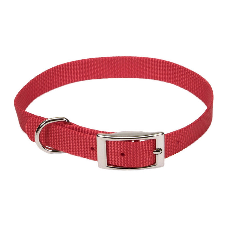Coastal® Single-Ply Dog Collar, Red Small