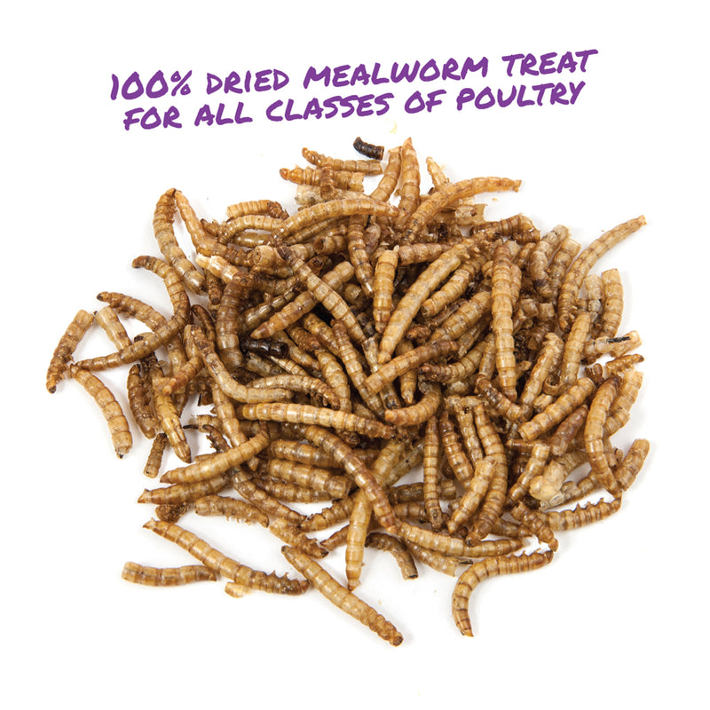 Manna Pro Mealworm Munchies 10oz
