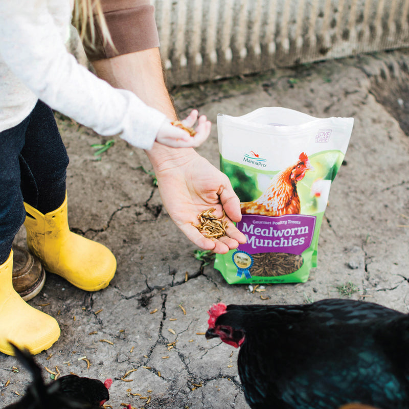 Manna Pro Mealworm Munchies 10oz