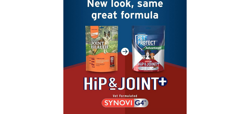 Pet Protect Hip and Joint with Synovi G4 Soft Chews for Dogs
