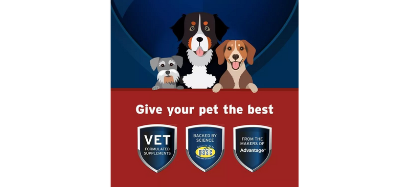 Pet Protect Hip and Joint with Synovi G4 Soft Chews for Dogs