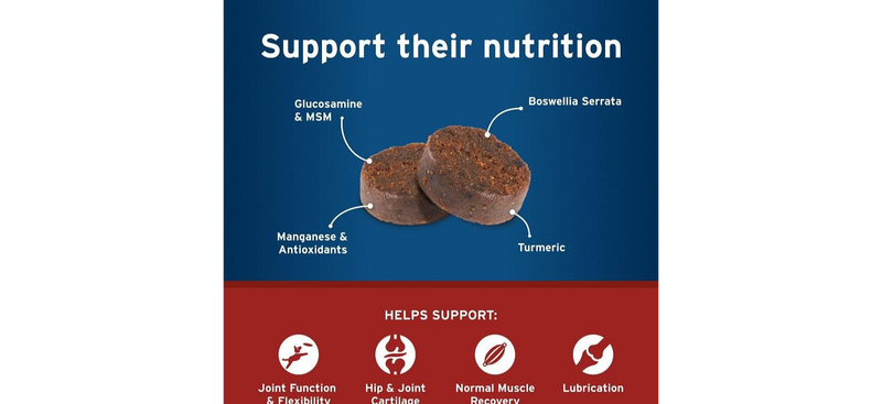 Pet Protect Hip and Joint with Synovi G4 Soft Chews for Dogs