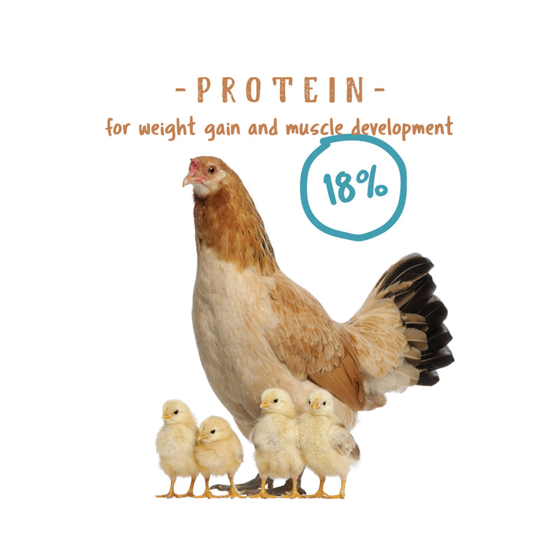 Manna Pro Non Medicated Chick Starter 5lb