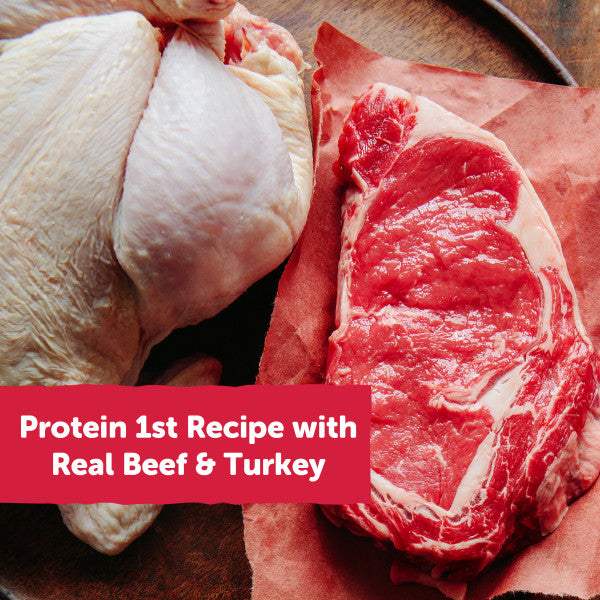 Wellness Rewarding Life Beef & Turkey Recipe Dog Treats, 6 oz. Bag