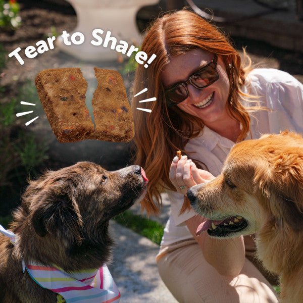 Wellness Rewarding Life Beef & Turkey Recipe Dog Treats, 6 oz. Bag