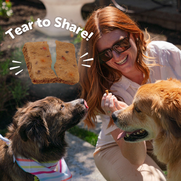 Wellness Rewarding Life Chicken & Venison Recipe Dog Treats, 6 oz. Bag