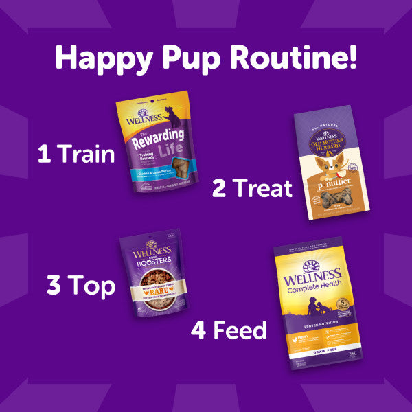 Wellness Rewarding Life Chicken & Lamb Recipe Dog Treats, 6 oz. Bag