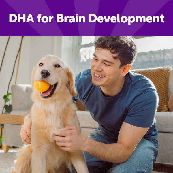 Wellness Rewarding Life Lamb & Salmon Recipe Dog Treats, 6 oz. Bag