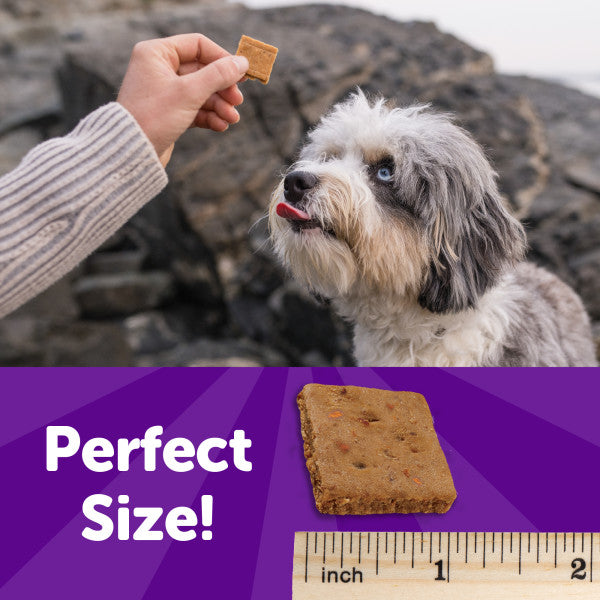 Wellness Rewarding Life Lamb & Salmon Recipe Dog Treats, 6 oz. Bag