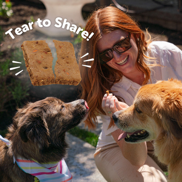 Wellness Rewarding Life Lamb & Salmon Recipe Dog Treats, 6 oz. Bag