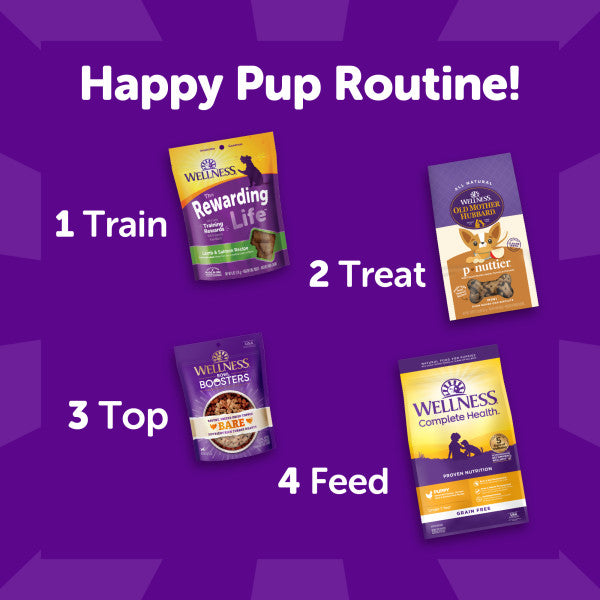 Wellness Rewarding Life Lamb & Salmon Recipe Dog Treats, 6 oz. Bag