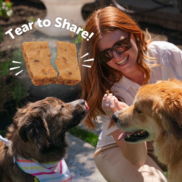 Wellness Rewarding Life Turkey & Duck Bites 6oz